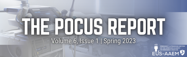 POCUS Report Spring 2023 Banner
